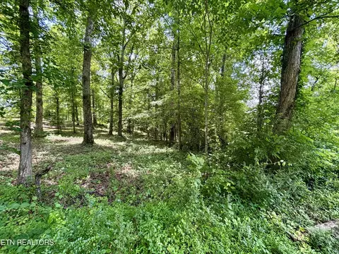 0 Rolling Acres Dr, Rockwood, TN 37854