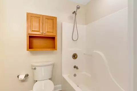 Bath - 9237 Leaf Brook Ln, Apison, TN 37302 photo 7 of 8