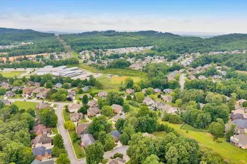 View/Area - 9237 Leaf Brook Ln, Apison, TN 37302 photo 4 of 5