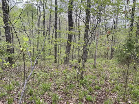 0 Eagle Loop, Loretto, TN 38469 photo 3
