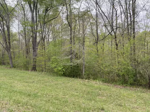 0 Eagle Loop, Loretto, TN 38469 photo 6