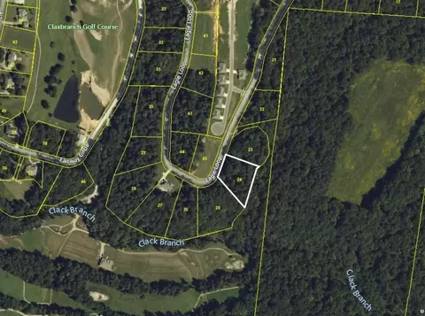 0 Eagle Loop, Loretto, TN 38469 photo 7
