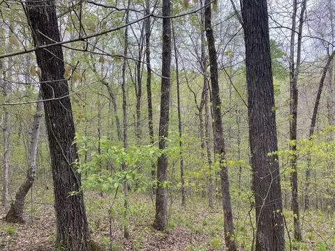 0 Eagle Loop, Loretto, TN 38469 photo 4