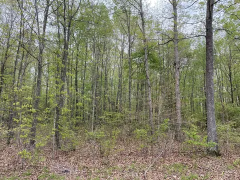 0 Eagle Loop, Loretto, TN 38469 photo 2