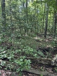 850 Lick Hollow Dr, Grandview, TN 37337