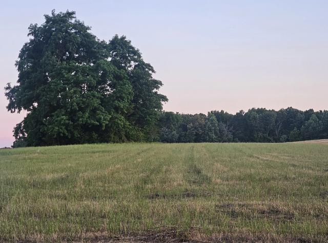 0 Blanton School Rd, Woodbury, TN 37190