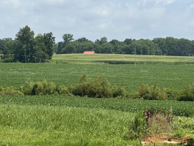 0 Zander Rd, Hopkinsville, KY 42240