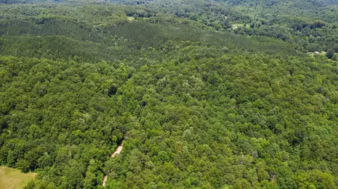 505 Horns Creek Rd, Ocoee, TN 37361 photo 4