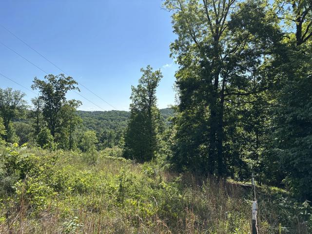 2125 Van Davis Rd NW, Georgetown, TN 37336