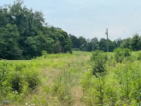 141 Pleasant View Cemetery Rd, New Market, TN 37820