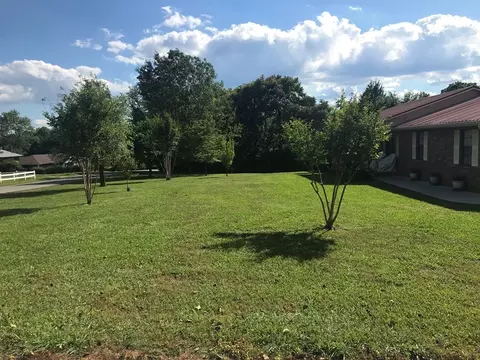 5628 Buell, Talbott, TN 37877 photo 10
