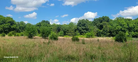 2 Clem Creek Rd, Chapel Hill, TN 37034
