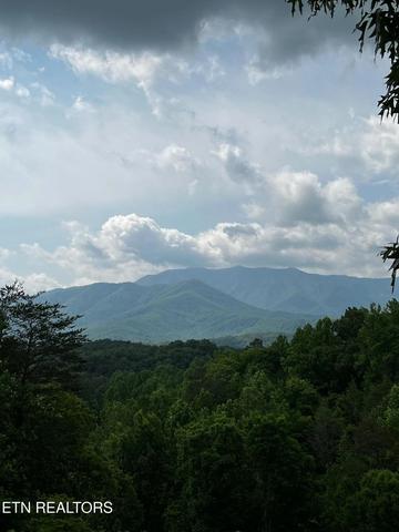 3 Powdermill Dr, Gatlinburg, TN 37738