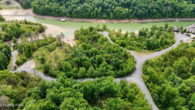 25 Stone Bridge Dr, Dandridge, TN 37725