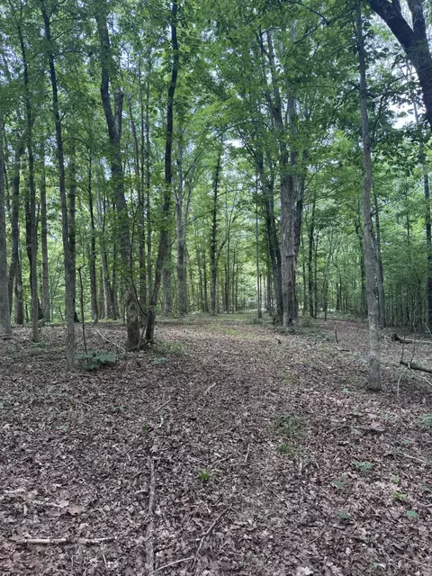 0 Jack Saunders Rd, Waverly, TN 37185