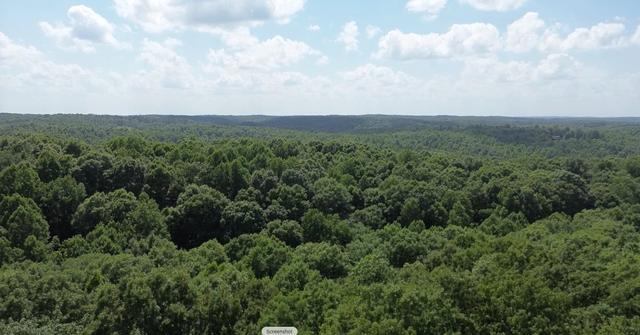 0 Owl Cir, Hurricane Mills, TN 37078