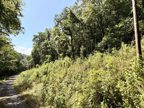0 Silver Point Rd, Silver Point, TN 38582 photo 3