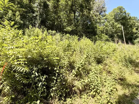 0 Silver Point Rd, Silver Point, TN 38582 photo 2