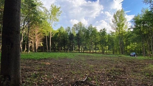 7884 Bill Moss Rd, White House, TN 37188