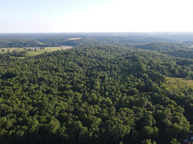 0 Lylewood Rd, Woodlawn, TN 37191