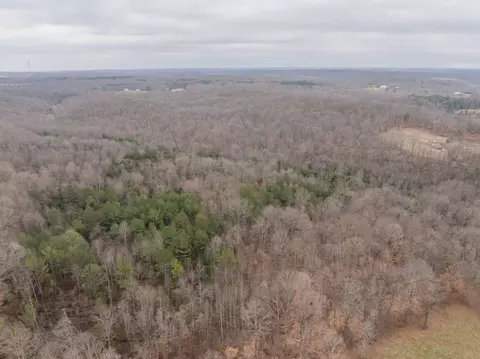0 Wiley Branch Rd, Dickson, TN 37055 photo 19