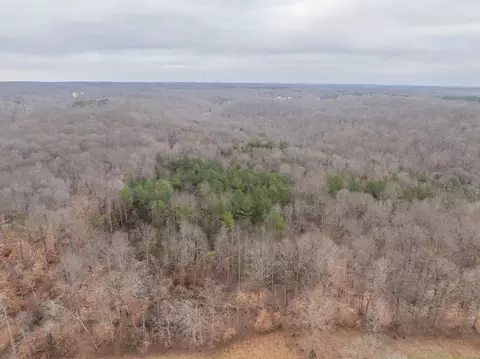 0 Wiley Branch Rd, Dickson, TN 37055 photo 13