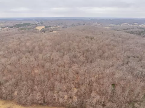 0 Wiley Branch Rd, Dickson, TN 37055 photo 24