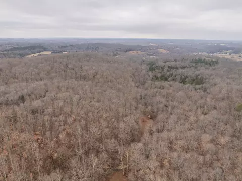 0 Wiley Branch Rd, Dickson, TN 37055 photo 29