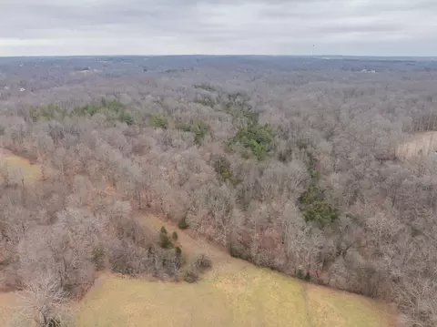 0 Wiley Branch Rd, Dickson, TN 37055 photo 8