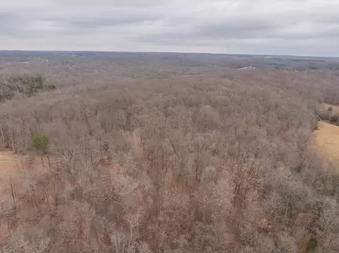0 Wiley Branch Rd, Dickson, TN 37055 photo 14