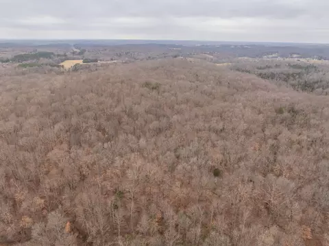 0 Wiley Branch Rd, Dickson, TN 37055 photo 25