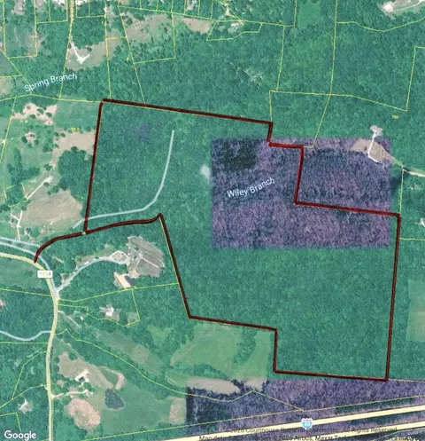 0 Wiley Branch Rd, Dickson, TN 37055 photo 6