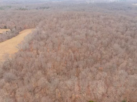 0 Wiley Branch Rd, Dickson, TN 37055 photo 21