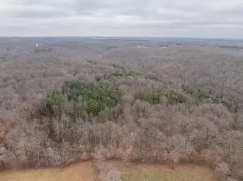 0 Wiley Branch Rd, Dickson, TN 37055 photo 18