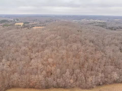 0 Wiley Branch Rd, Dickson, TN 37055 photo 23