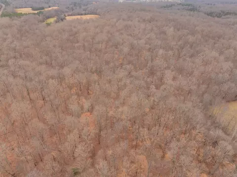 0 Wiley Branch Rd, Dickson, TN 37055 photo 22