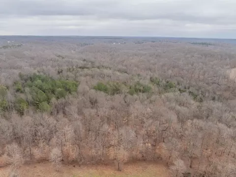0 Wiley Branch Rd, Dickson, TN 37055 photo 10