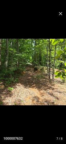 185 Co Rd 179, Decatur, TN 37322