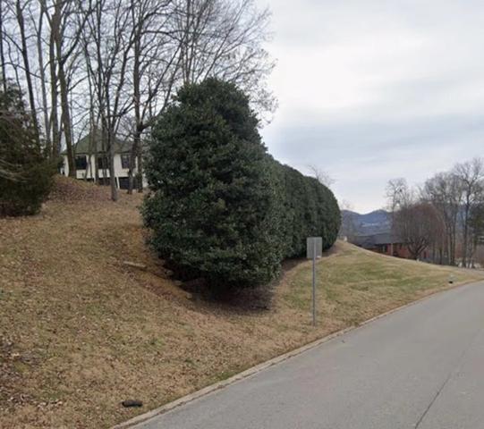 5225 Heathrow Hills Dr, Brentwood, TN 37027
