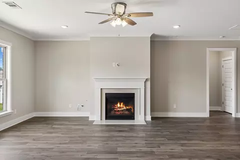 Living - 1144 Brixworth Dr, Spring Hill, TN 37174 photo 7 of 11