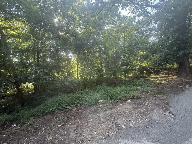 0 Gupton Ln, Clarksville, TN 37040