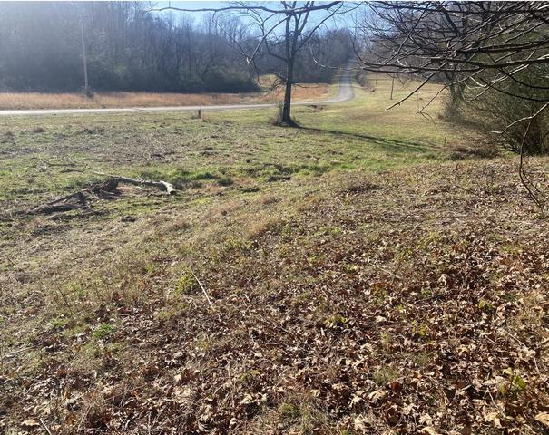 0 Scenic Dr, Pulaski, TN 38478