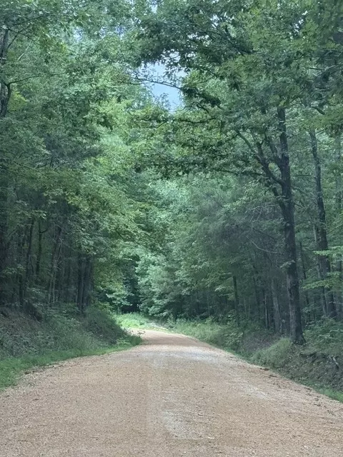 0 Old State Highway 69, Sugar Tree, TN 38380 photo 1
