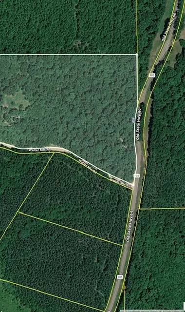 0 Old State Highway 69, Sugar Tree, TN 38380 photo 2