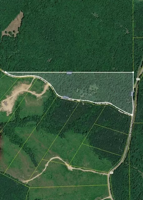 0 Old State Highway 69, Sugar Tree, TN 38380 photo 3