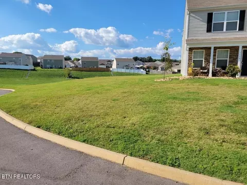 1116 Janice Ln, Talbott, TN 37877 photo 56
