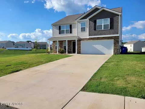 1116 Janice Ln, Talbott, TN 37877 photo 3