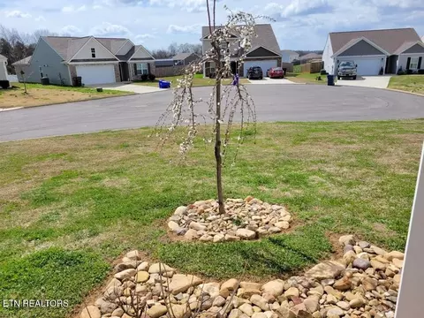 1116 Janice Ln, Talbott, TN 37877 photo 52