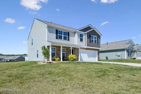 1116 Janice Ln, Talbott, TN 37877 photo 46