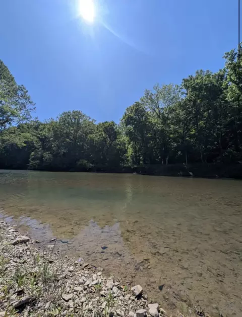 8167 Primm Springs Rd, Primm Springs, TN 38476